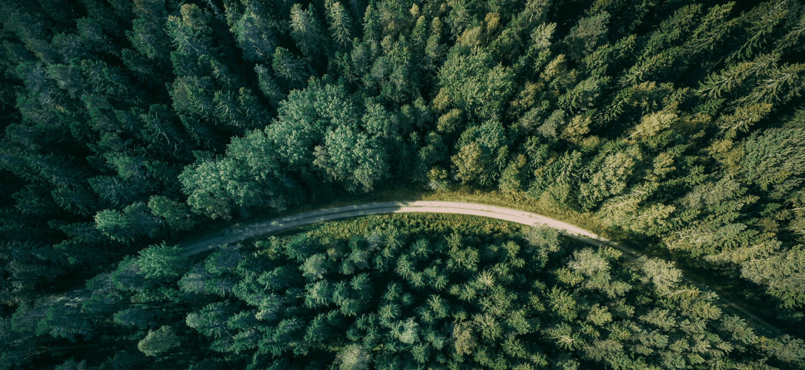 Soluções avançadas para combater a perda de <strong>biodiversidade</strong>