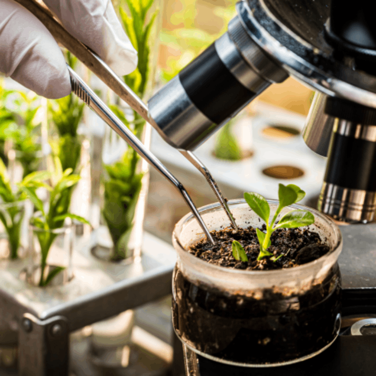 Combinação de nanotecnologias e biotecnologias para exploração nas indústrias, agro-zootécnicas e ambientais.