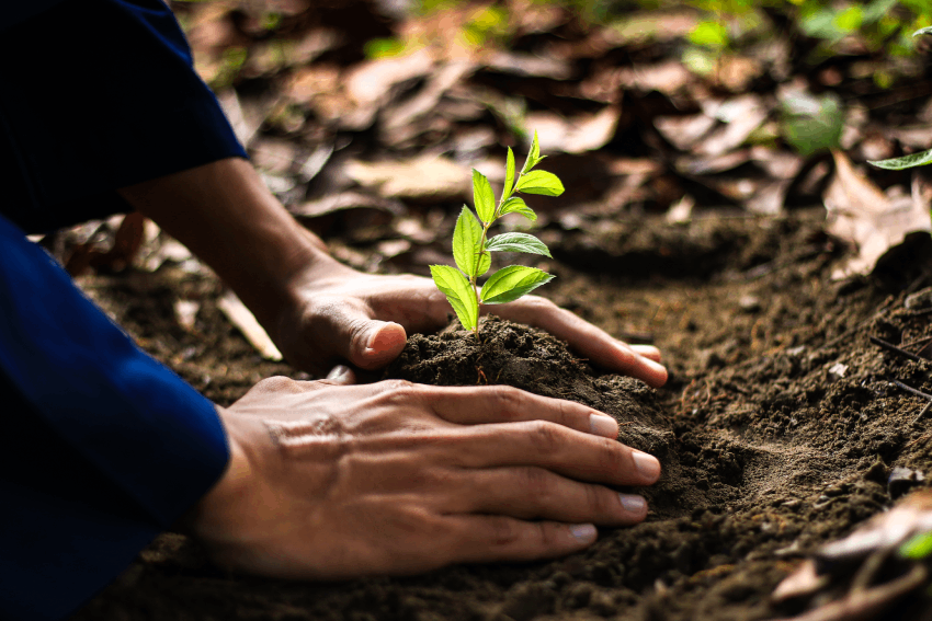 bio-proj-nanofertil-shutterstock-1566210925.png